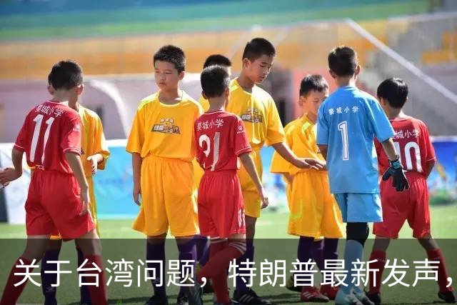 关于台湾问题，特朗普最新发声，赖清德要急，郑丽文最新交底
