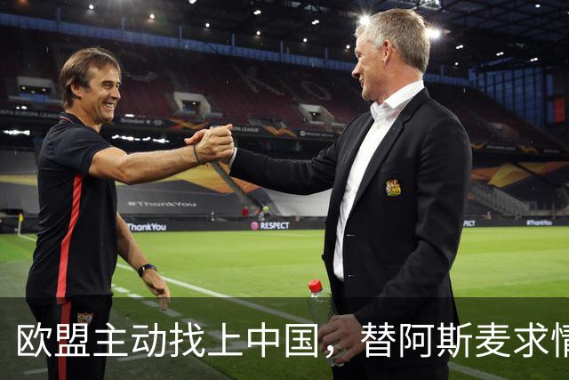 欧盟主动找上中国，替阿斯麦求情：中方别管制了，真顶不住