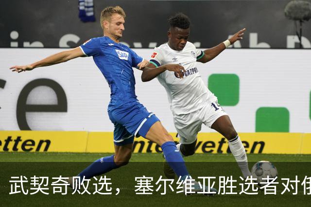 武契奇败选，塞尔维亚胜选者对俄态度如何？俄方火速发声把话挑明